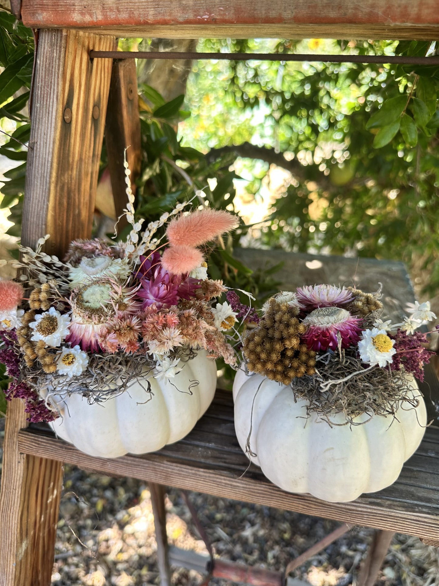 Pumpkin Centerpiece Making Class