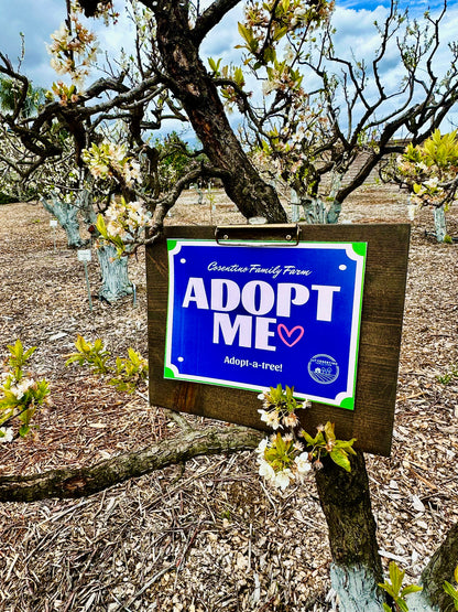 Adopt a Tree!