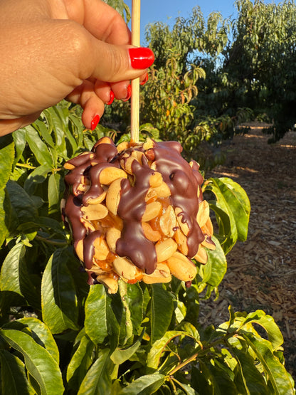Hand Dipped Caramel Apples